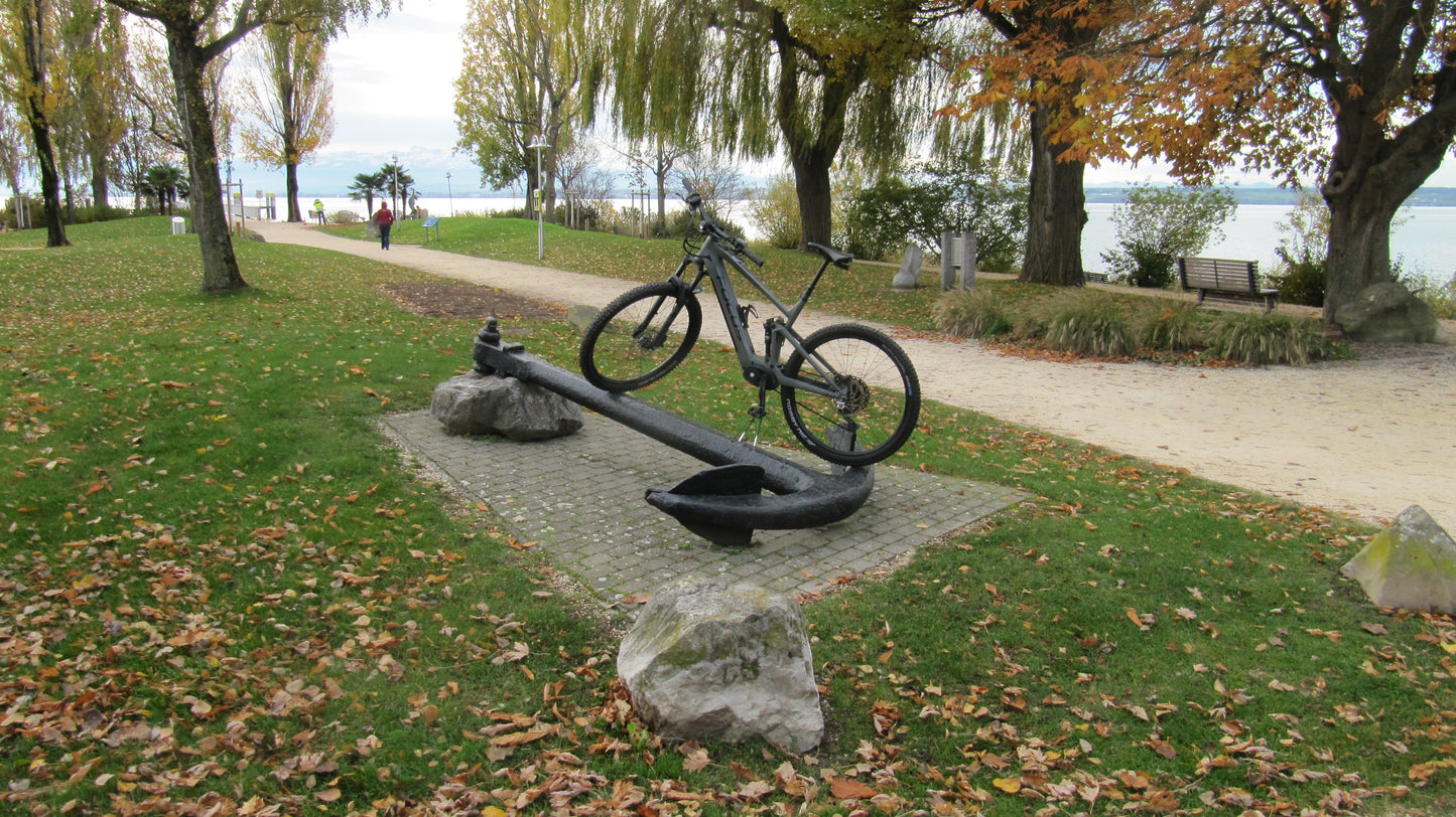Handbremse, Feststellbremse, Wegrollsperrre Fahrrad MTB, einfache Wegfahrsperre