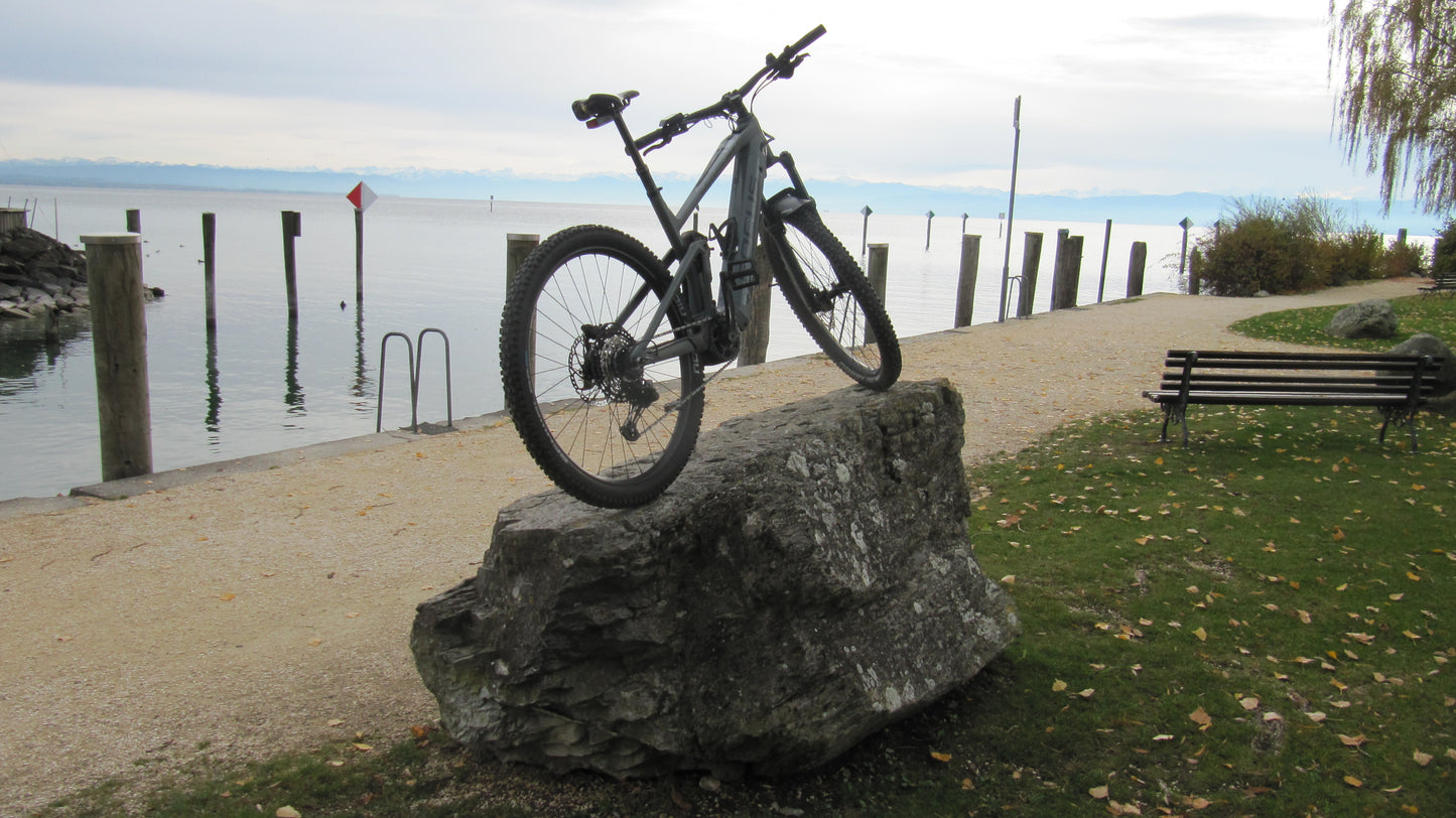 Handbremse, Feststellbremse, Wegrollsperrre Fahrrad MTB, einfache Wegfahrsperre