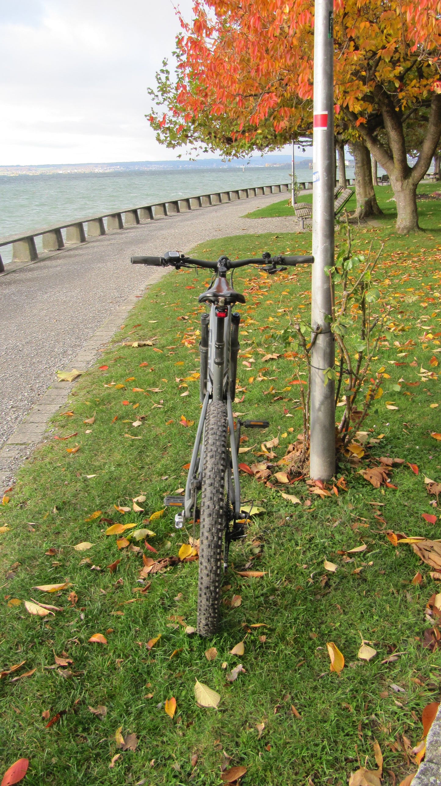 Handbremse, Feststellbremse, Wegrollsperrre Fahrrad MTB, einfache Wegfahrsperre