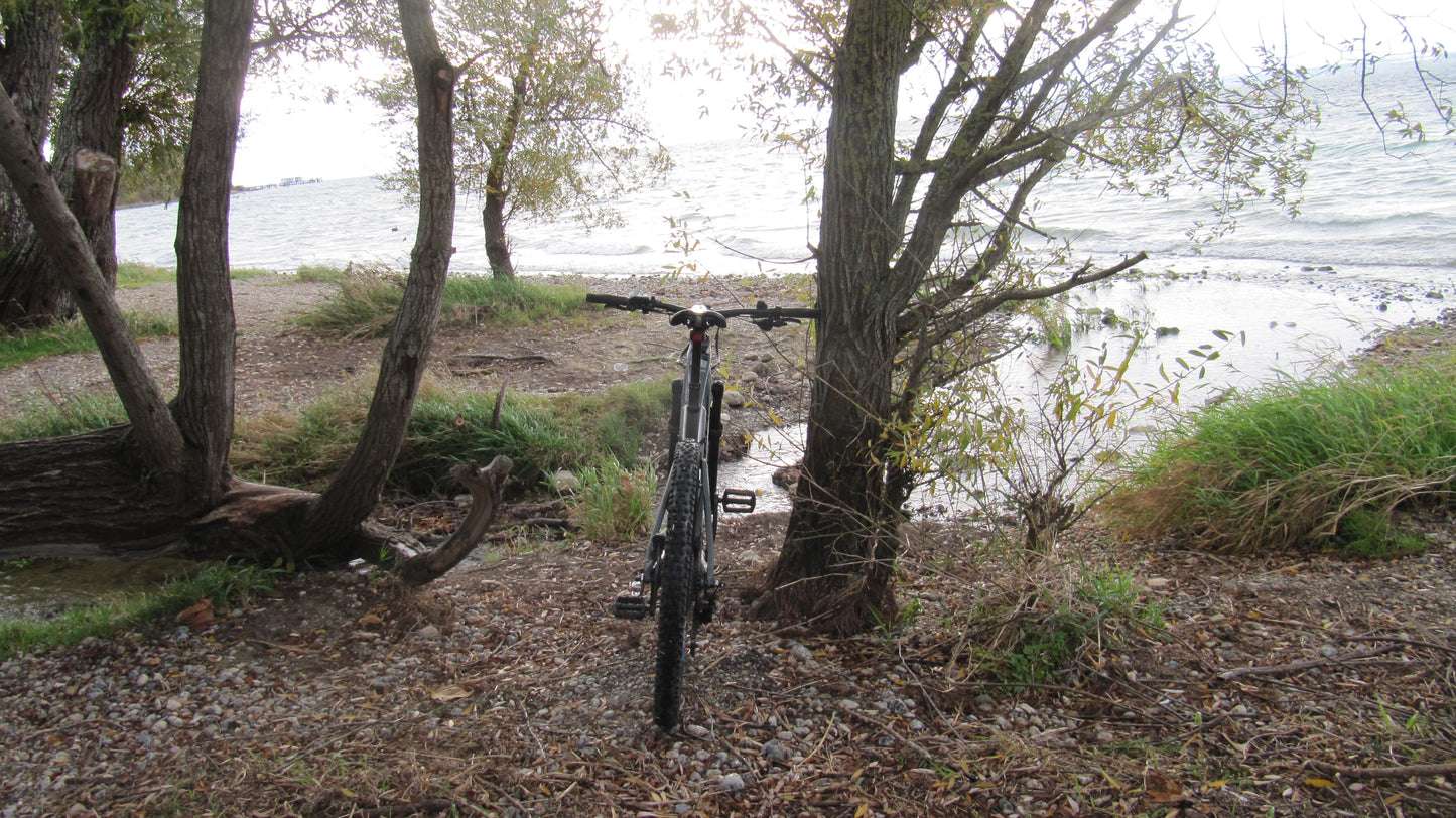 Handbremse, Feststellbremse, Wegrollsperrre Fahrrad MTB, einfache Wegfahrsperre